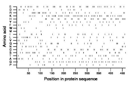 amino acid map