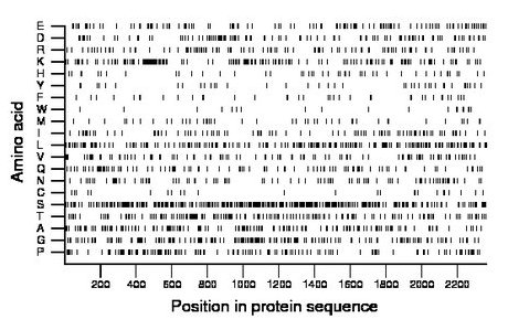 amino acid map