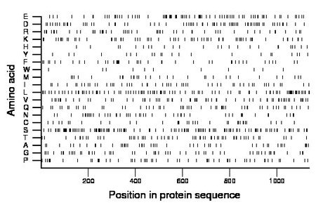 amino acid map