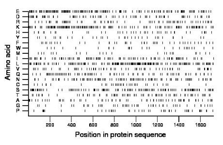 amino acid map