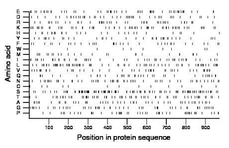 amino acid map