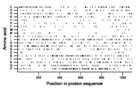 amino acid map