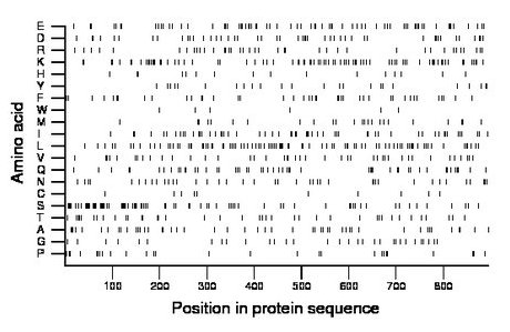 amino acid map