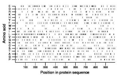 amino acid map