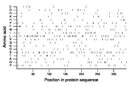 amino acid map