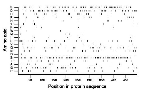 amino acid map