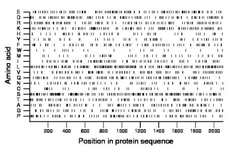 amino acid map