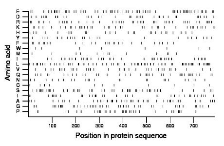 amino acid map