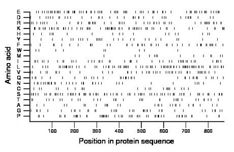 amino acid map