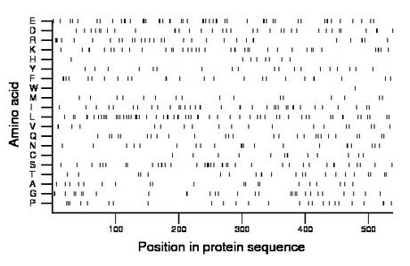 amino acid map