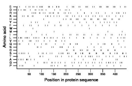 amino acid map