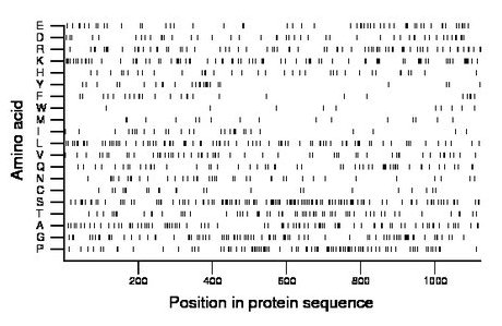 amino acid map