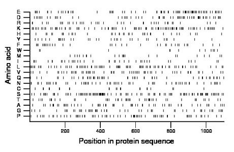 amino acid map