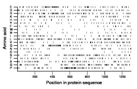 amino acid map