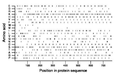 amino acid map