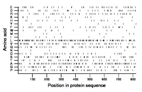 amino acid map