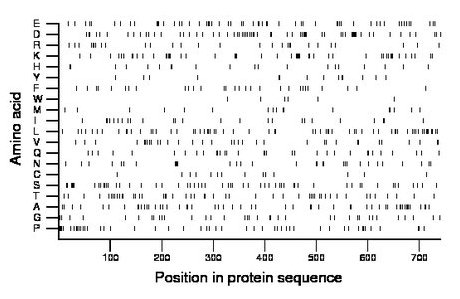 amino acid map