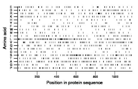 amino acid map