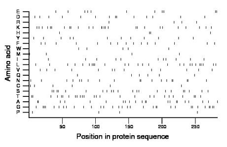 amino acid map