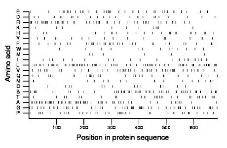 amino acid map