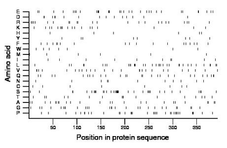 amino acid map