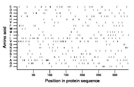 amino acid map