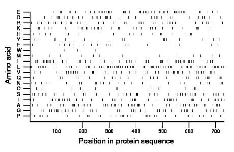 amino acid map