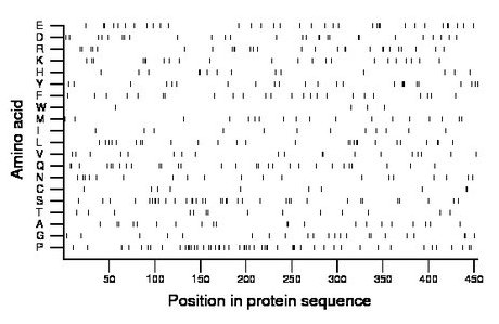 amino acid map