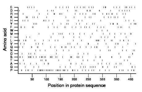 amino acid map