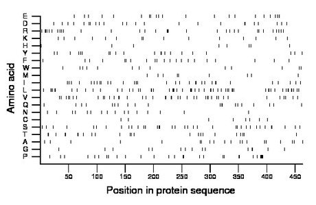 amino acid map