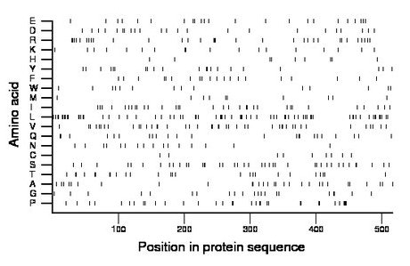 amino acid map