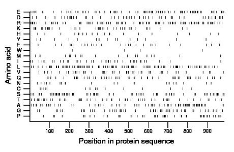 amino acid map