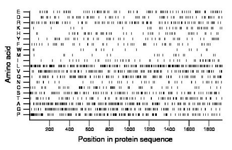 amino acid map