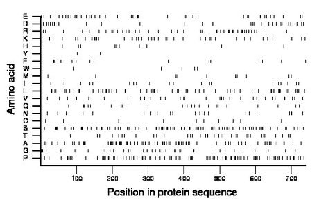 amino acid map