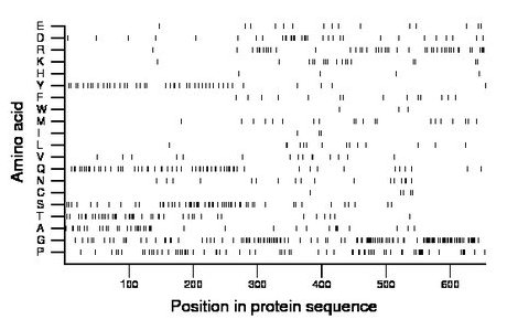 amino acid map