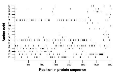 amino acid map