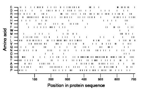 amino acid map