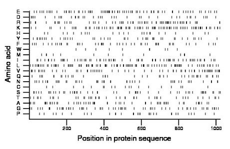 amino acid map