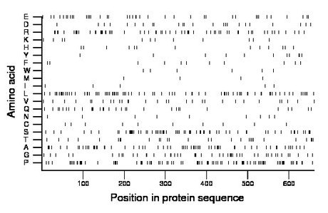 amino acid map