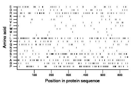 amino acid map