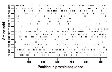 amino acid map