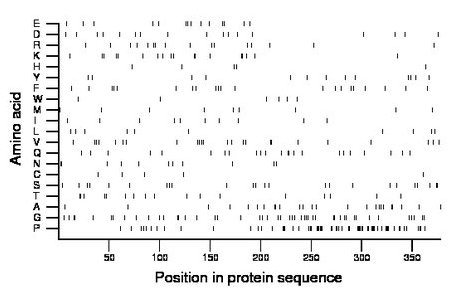 amino acid map