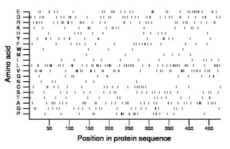 amino acid map