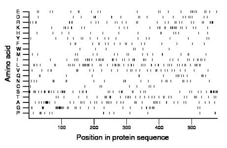 amino acid map