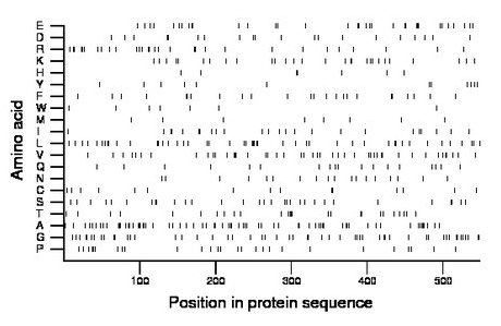 amino acid map