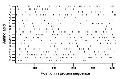 amino acid map