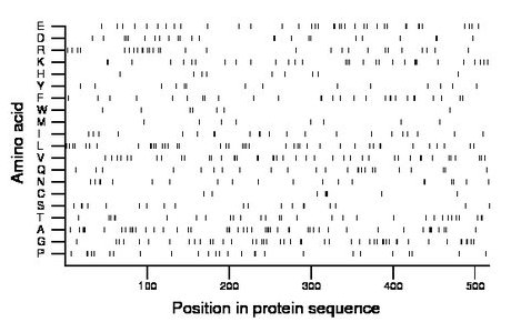 amino acid map