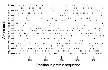 amino acid map