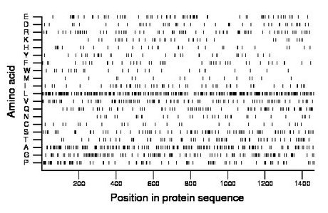 amino acid map