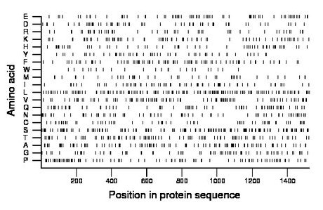 amino acid map